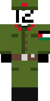 Скин по нику Twelve