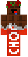 Скин по нику TwiX_