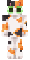 Скин по нику Tyron