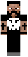 Скин по нику Valkyrian