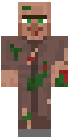 Скин по нику VillagerZombie