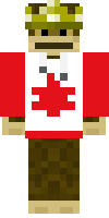 Скин по нику Virtual_Pixels