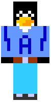 Скин по нику Voxyynn