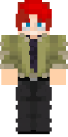 Скин по нику Vulnus_