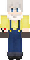 Скин по нику WackoMcGoose