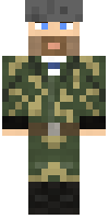 Скин по нику WardenWolf