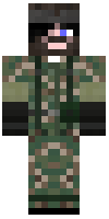 Скин по нику Warlec