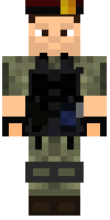 Скин по нику Warpire