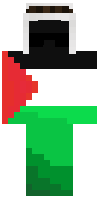Скин по нику WeStandWithGaza