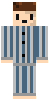 Скин по нику Whiteguard