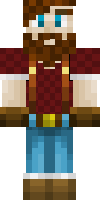 Скин по нику Windbolt
