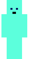 Скин по нику Winget