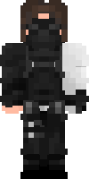 Скин по нику WinterSoldat