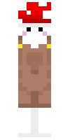 Скин по нику Wiphy_