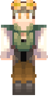 Скин по нику Wither_Knight