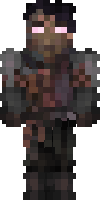 Скин по нику ZELF