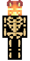 Скин по нику ZETA_25max