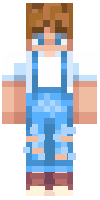 Скин по нику ZachGames1