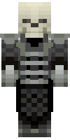 Скин по нику Zdyne