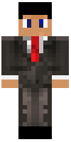 Скин по нику Zeldja