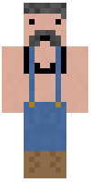 Скин по нику Zeldy