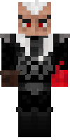 Скин по нику Zenshougun