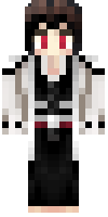 Скин по нику Zephyrus_Aurora