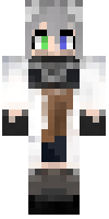 Скин по нику Zerdan