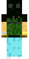 Скин по нику ZeroDayPlay