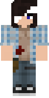 Скин по нику ZethGamer