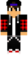 Скин по нику Zik_Games