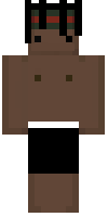 Скин по нику Zippy