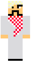 Скин по нику Zr1_S