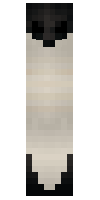 Скин по нику _Barley_