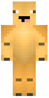 Скин по нику _CAMEL_