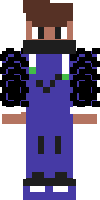 Скин по нику _Crazyman001_