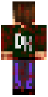 Скин по нику _Drag0nHard_
