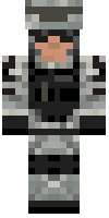 Скин по нику _Dragon88_