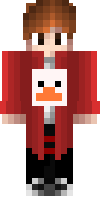 Скин по нику _FunnyPigeon_