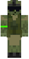 Скин по нику _Hell_Cat_