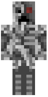 Скин по нику _Maxed_YT_
