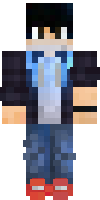 Скин по нику _SmashPro_