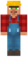 Скин по нику _Village_