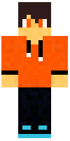 Скин по нику _ZeusPlay_
