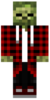 Скин по нику _holzholz_