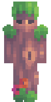 Скин по нику _kap