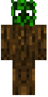 Скин по нику _shadow