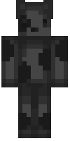 Скин по нику agustintheplayer