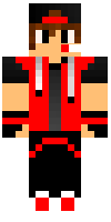 Скин по нику aleko_gamer