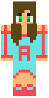 Скин по нику ally_28